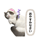 ラガマフィンのソルト（個別スタンプ：4）