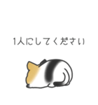 後輩の三毛猫は聞き上手（個別スタンプ：27）