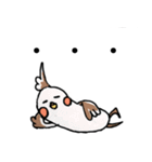 オカメの日常 6（個別スタンプ：3）