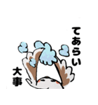 オカメの日常 6（個別スタンプ：7）