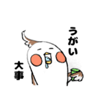 オカメの日常 6（個別スタンプ：8）