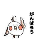 オカメの日常 6（個別スタンプ：9）