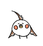 オカメの日常 6（個別スタンプ：25）