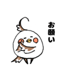 オカメの日常 6（個別スタンプ：30）