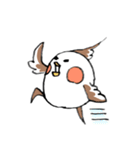 オカメの日常 6（個別スタンプ：39）