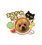やんちゃ風太（個別スタンプ：2）