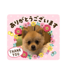 やんちゃ風太（個別スタンプ：3）