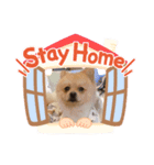 やんちゃ風太（個別スタンプ：5）