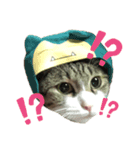 みーちゃん（猫）スタンプ（個別スタンプ：3）