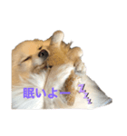 プリンとモコ（個別スタンプ：2）