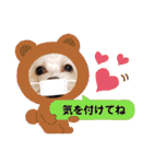 マルックス♪アンディがんばろう！（個別スタンプ：4）