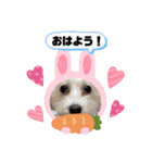 マルックス♪アンディがんばろう！（個別スタンプ：5）
