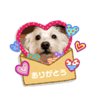 マルックス♪アンディがんばろう！（個別スタンプ：13）