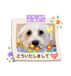 マルックス♪アンディがんばろう！（個別スタンプ：15）