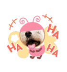 マルックス♪アンディがんばろう！（個別スタンプ：18）