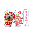 マルックス♪アンディがんばろう！（個別スタンプ：19）