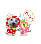 マルックス♪アンディがんばろう！（個別スタンプ：20）