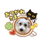 マルックス♪アンディがんばろう！（個別スタンプ：26）