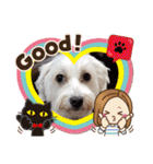マルックス♪アンディがんばろう！（個別スタンプ：31）