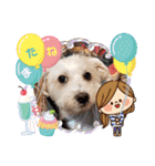 マルックス♪アンディがんばろう！（個別スタンプ：35）