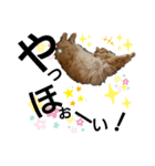 猫 いろいろ（個別スタンプ：5）