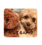 ゆるいラテくん（個別スタンプ：1）