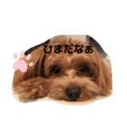 ゆるいラテくん（個別スタンプ：7）