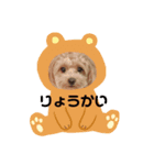 ゆるいラテくん（個別スタンプ：8）