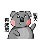 かわいいコアラ [日常生活]（個別スタンプ：13）