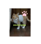 らんまるぅのつぶやき（個別スタンプ：2）