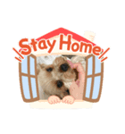 うちの あむ らとぅ まるす（個別スタンプ：8）