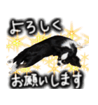 ちわわわらわら 日常編（個別スタンプ：12）