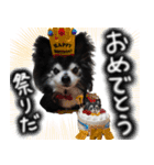 ちわわわらわら 日常編（個別スタンプ：20）