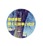 大切な人を励ましたい時に（個別スタンプ：4）