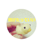 大切な人を励ましたい時に（個別スタンプ：13）