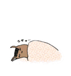 競馬場いこ！（個別スタンプ：37）