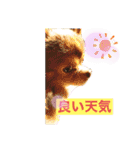 僕、イヴ君（フルversion）（個別スタンプ：1）