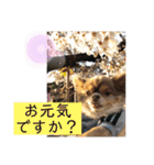 僕、イヴ君（フルversion）（個別スタンプ：2）