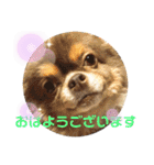 僕、イヴ君（フルversion）（個別スタンプ：3）