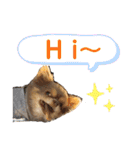 僕、イヴ君（フルversion）（個別スタンプ：4）