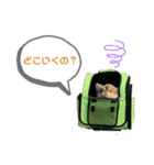 僕、イヴ君（フルversion）（個別スタンプ：6）
