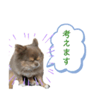 僕、イヴ君（フルversion）（個別スタンプ：7）