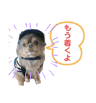 僕、イヴ君（フルversion）（個別スタンプ：9）