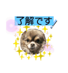 僕、イヴ君（フルversion）（個別スタンプ：10）