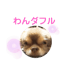 僕、イヴ君（フルversion）（個別スタンプ：14）