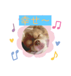 僕、イヴ君（フルversion）（個別スタンプ：16）