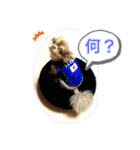 僕、イヴ君（フルversion）（個別スタンプ：19）