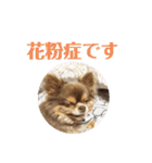 僕、イヴ君（フルversion）（個別スタンプ：26）