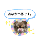 僕、イヴ君（フルversion）（個別スタンプ：29）
