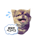 僕、イヴ君（フルversion）（個別スタンプ：30）